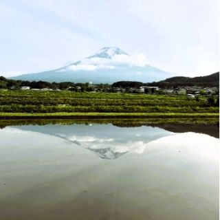 IMG_8470_WH_355x650px