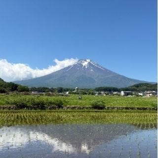 IMG_8750_WH_355x650px